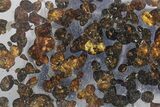 Polished Sericho Pallasite Meteorite ( g) Slice - Kenya #348915-1